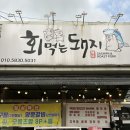 회먹는돼지 이미지