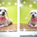 엔디 이미지