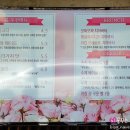 &lt;구리역 맛집&gt; 안다미로스시+&lt;남양주 다산 카페&gt; 콜드스퀘어