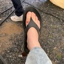 용주목장 | 평창 “산너미목장” 오토캠핑 후기! +육십마지기 (역대급 찐!!!!)