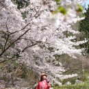 호포농장 이미지