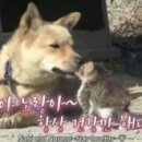 정준농장 이미지