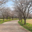 드림파크 이미지