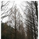 온동네식당 이미지