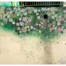 생활풍수 이미지