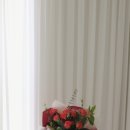 땅트플레르 이미지