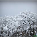 상고대전망대 이미지