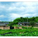 임고초등학교 이미지