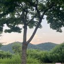 덕목5길 | ‘25년 7월 (5)