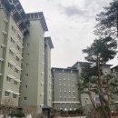 안흥농협정육점 | [강원도 강릉 숙소 추천] 경포대 근처 라카이 샌드파인 리조트 1동 후기