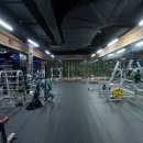 킹덤스포렉스 이미지