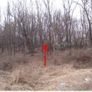 내곡동471 이미지