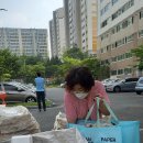아름다운환경 이미지
