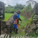 명월 팽나무군락 이미지