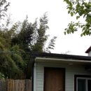 대숲민박 이미지