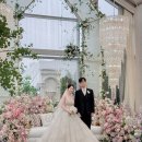빌라드지디 안양 아이폰스냅 촬영 후기｜크리스탈캐슬홀 플로브스냅