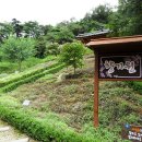 연일공원 이미지