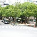 LG엘지공인중개사사무소 이미지