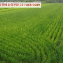 미천면-3 이미지