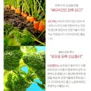 강아지 슬개골 탈구 예방엔? 네이월 관절 츄르 소프트 급여 후기