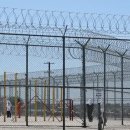 "ICE 망명 거부 13년째, 추방하지도 않고 이제와 구금" 인도 시크교 할머니 절규 이미지