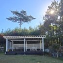 미씨엘로 이미지