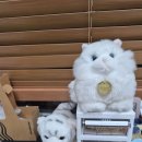 진선여자중학교 | 진선여중에 재학중인 아이, 수학 도형 때문에 시작한 학원 후기!