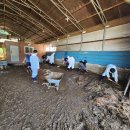 포천축산 이미지