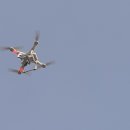 화랑농장 이미지