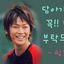 큐프랜드하이요