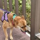 원브리스 이미지