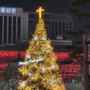 크리스마스 이브에 윤우 윤재는 명동체험를 하고왔어요 이미지