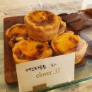 클로버. (clover)37 이미지