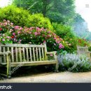 민국 행정사 이미지