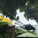 비히어 | 나트랑 자유여행을 가다 1편_25.10 (숙소, 담시장, 맛집 추천, 카페, 요가원)