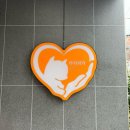 대디동물병원 이미지