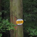 나들목펜션민박 이미지