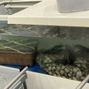 통영식당 부천중동본점 이미지