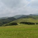 용비농장 이미지