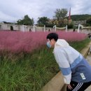 푼푼했던 울산 언양 핑크뮬리 카페 힐링뷰 참숯빵 레알취저 구수리 370