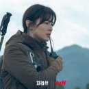 지리산풀잎 이미지
