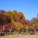 탄금공원 이미지