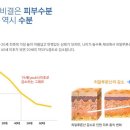 비젼앤그레이스