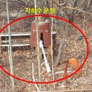 화정농장 Daum카페