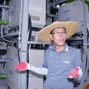 광리농장 이미지