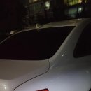 100프로카센타 이미지