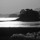 순천만풍경 이미지