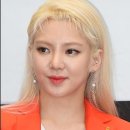 레드복싱