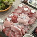 고기쟁이 | 대방어 강력추천 연산동 횟집 연산동고기쟁이 솔직방문후기