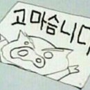 오늘의 다이어리 네이버블로그